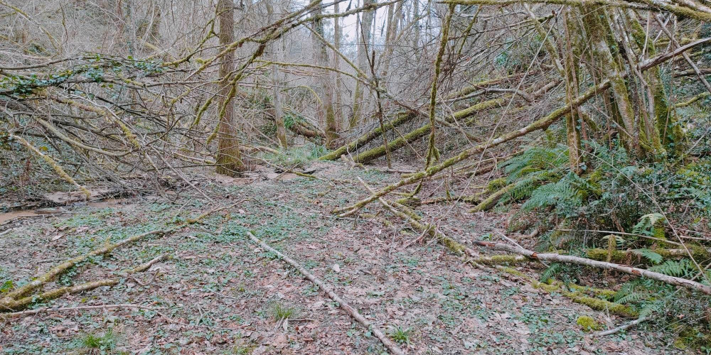 terrain à MUGRON (40250)