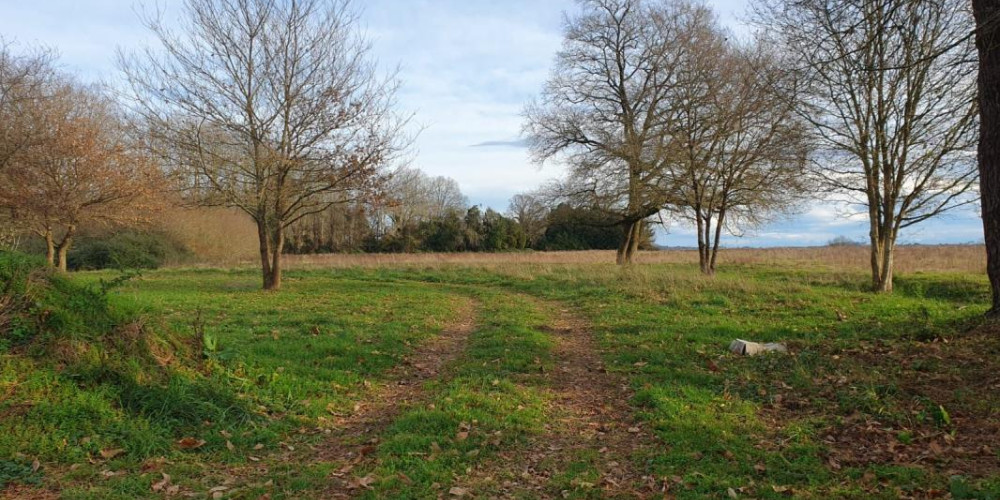 terrain à OEYRELUY (40180)