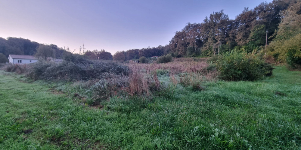 terrain à MONT DE MARSAN (40000)