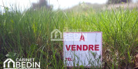 terrain à ST GEOURS DE MAREMNE (40230)