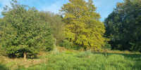 terrain à ST MARTIN DE HINX (40390)