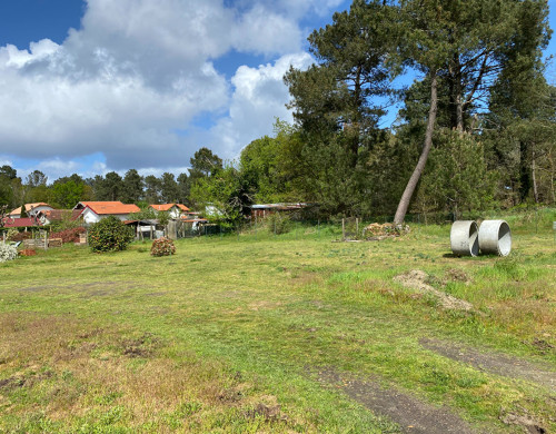 terrain  RION DES LANDES