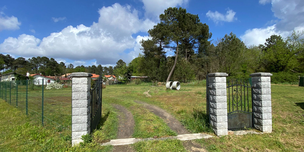 terrain à RION DES LANDES (40370)