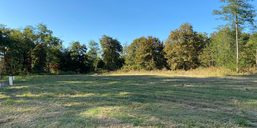 terrain à RION DES LANDES (40370)