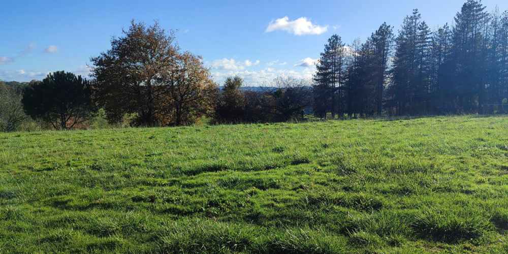 terrain à LARBEY (40250)