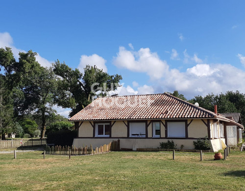 maison  RION DES LANDES