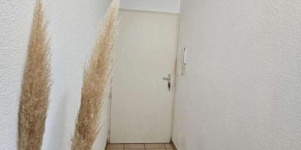 appartement à ST PIERRE DU MONT (40280)