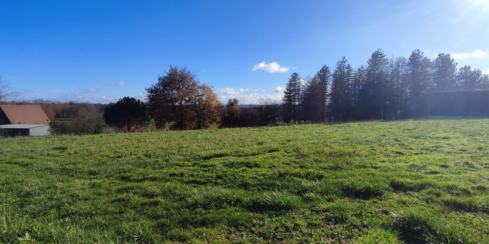 terrain à LARBEY (40250)