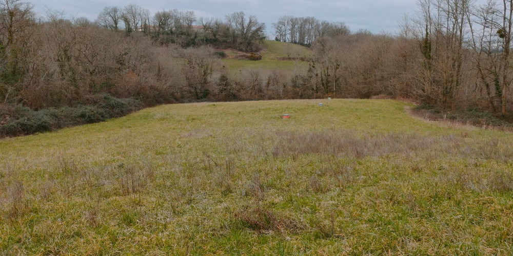 terrain à MUGRON (40250)