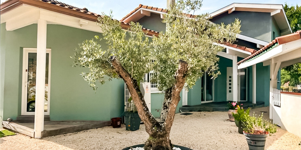 maison à VIEUX BOUCAU LES BAINS (40480)