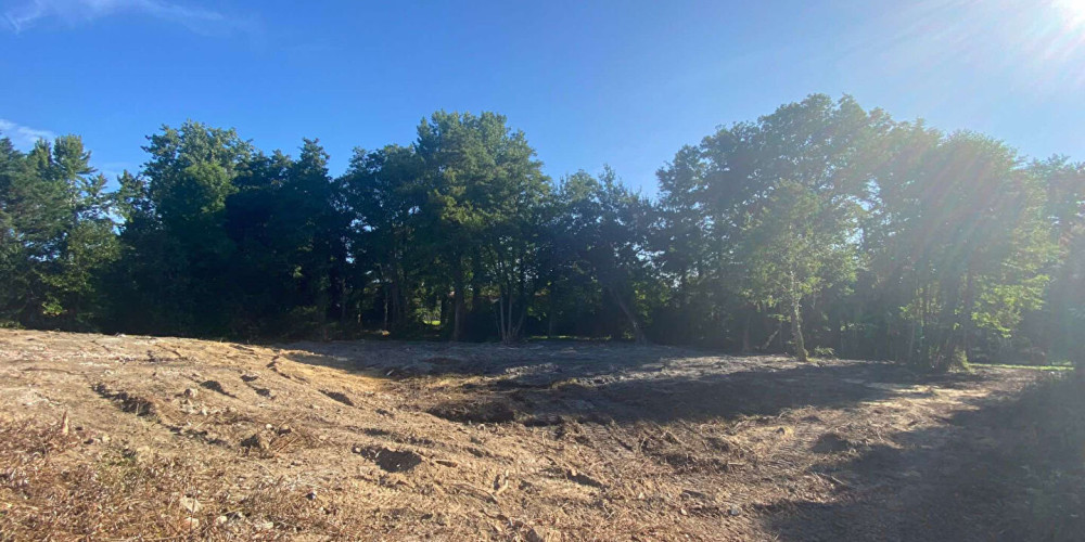 terrain à SAUGNAC ET CAMBRAN (40180)