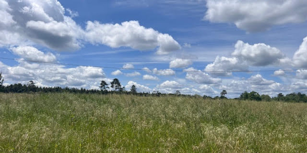 terrain à ARENGOSSE (40110)