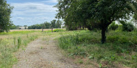 terrain à RION DES LANDES (40370)