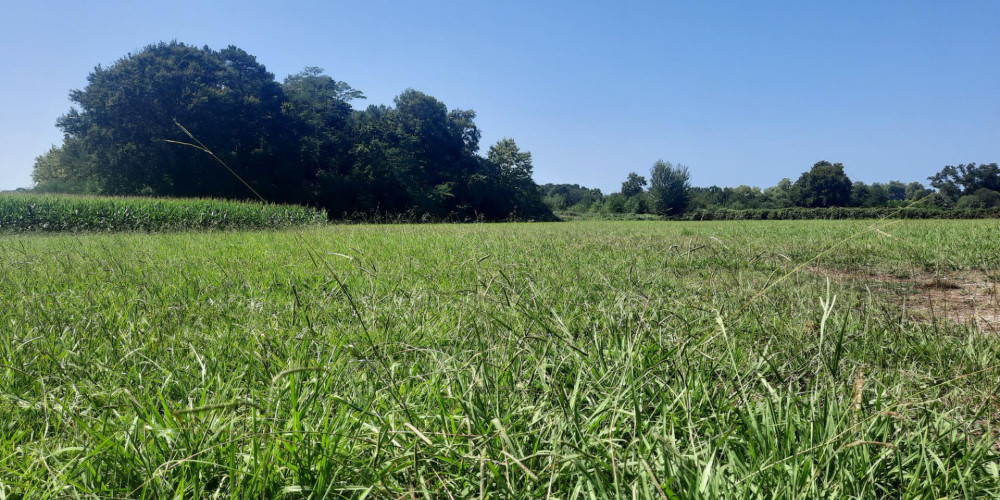 terrain à STE MARIE DE GOSSE (40390)