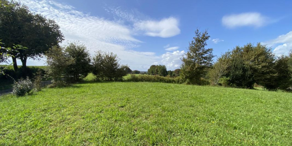 terrain à CASTELNAU CHALOSSE (40360)