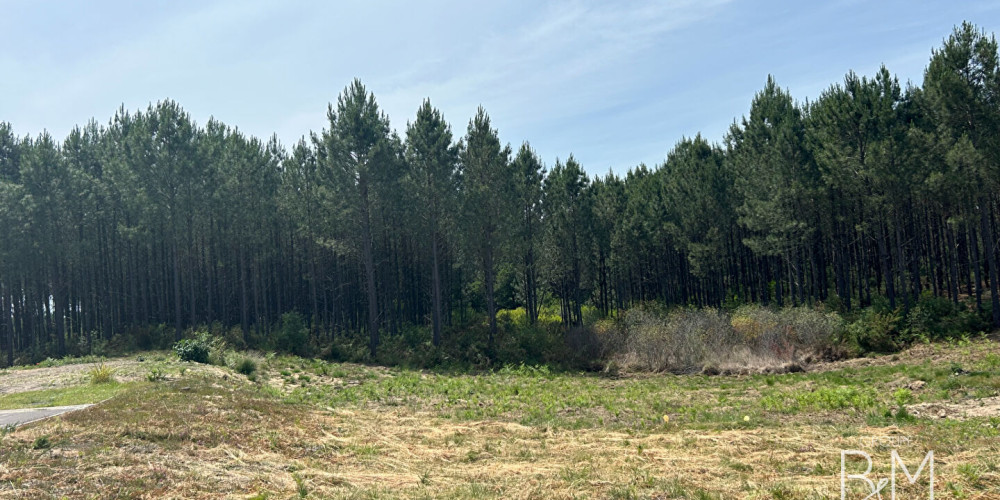 terrain à TOSSE (40230)