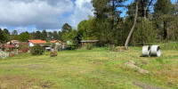 terrain à RION DES LANDES (40370)