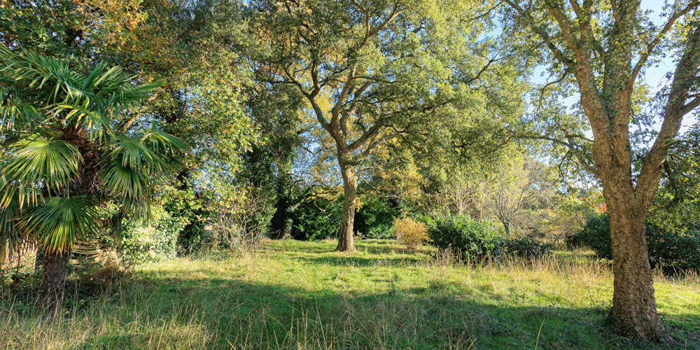 terrain à SOUSTONS (40140)