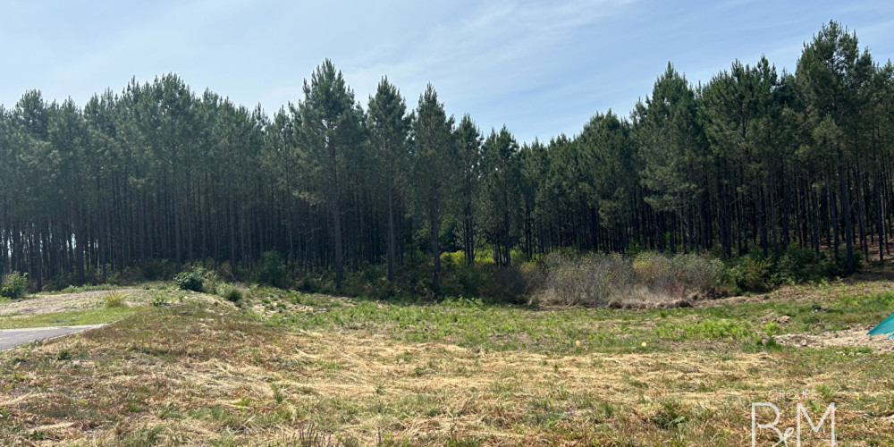 terrain à TOSSE (40230)