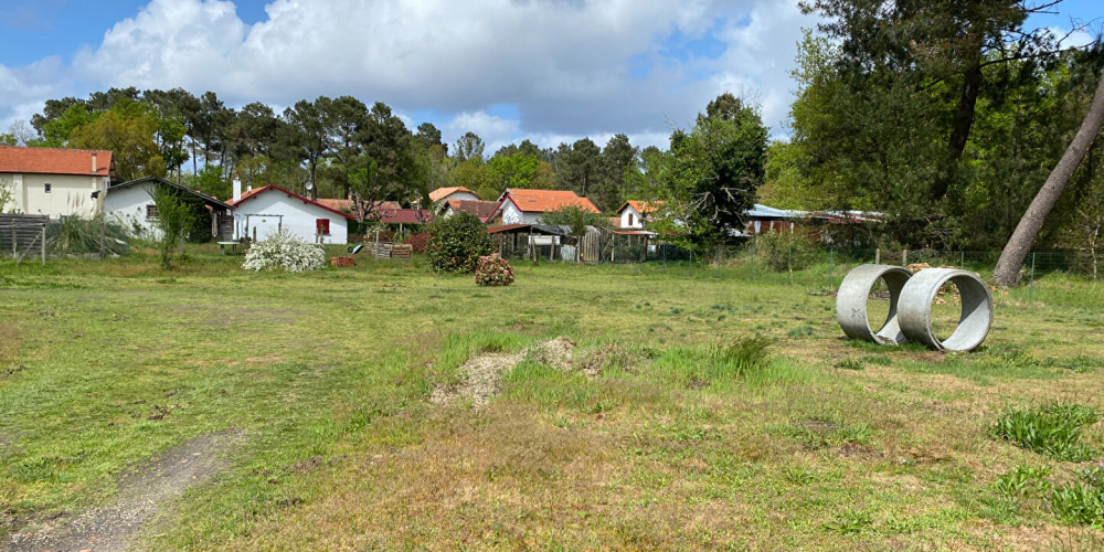 terrain à RION DES LANDES (40370)