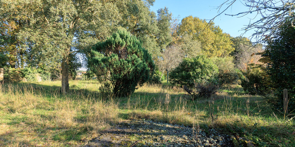 terrain à SOUSTONS (40140)