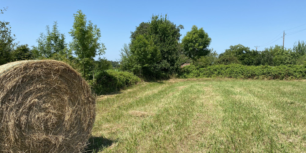 terrain à POUDENX (40700)