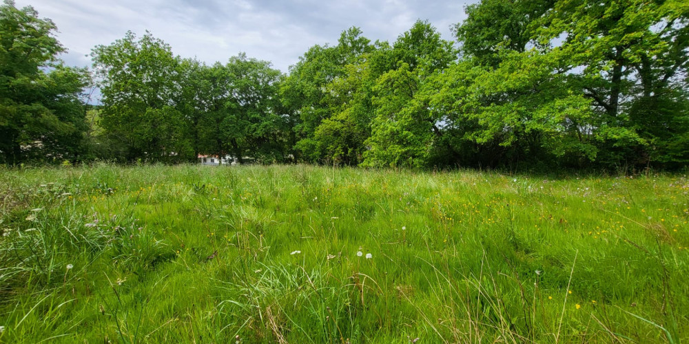 terrain à AUDIGNON (40500)