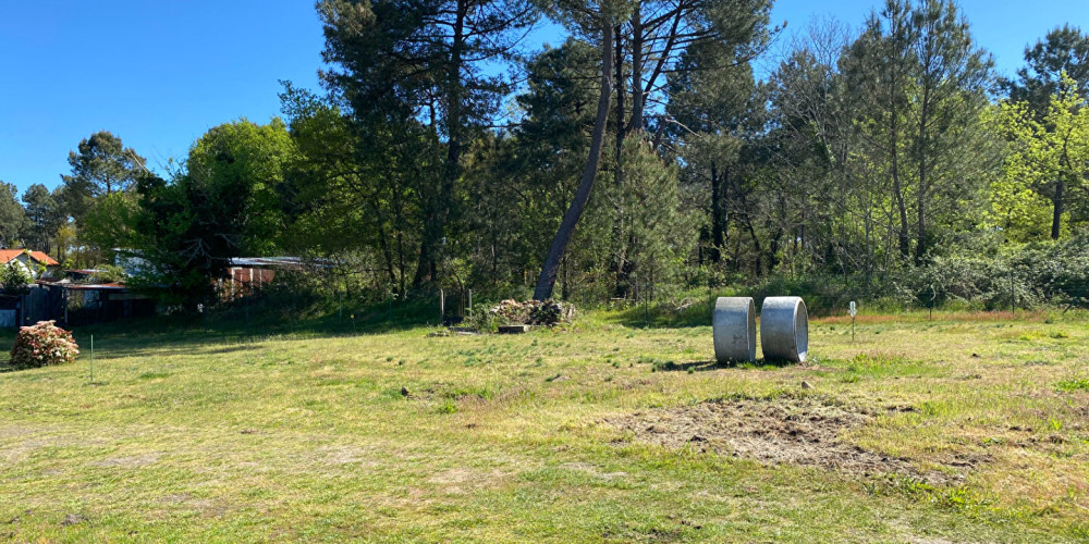 terrain à RION DES LANDES (40370)