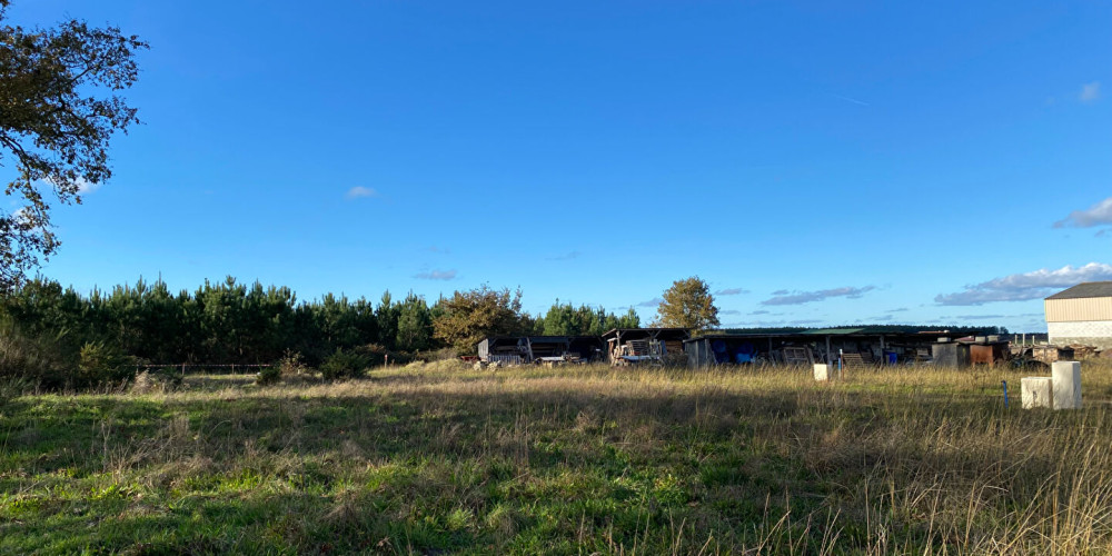 terrain à RION DES LANDES (40370)