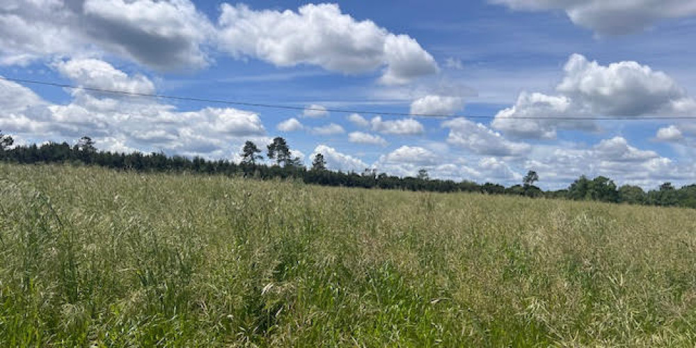 terrain à ARENGOSSE (40110)