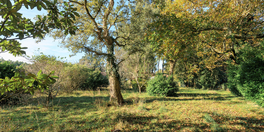 terrain à SOUSTONS (40140)