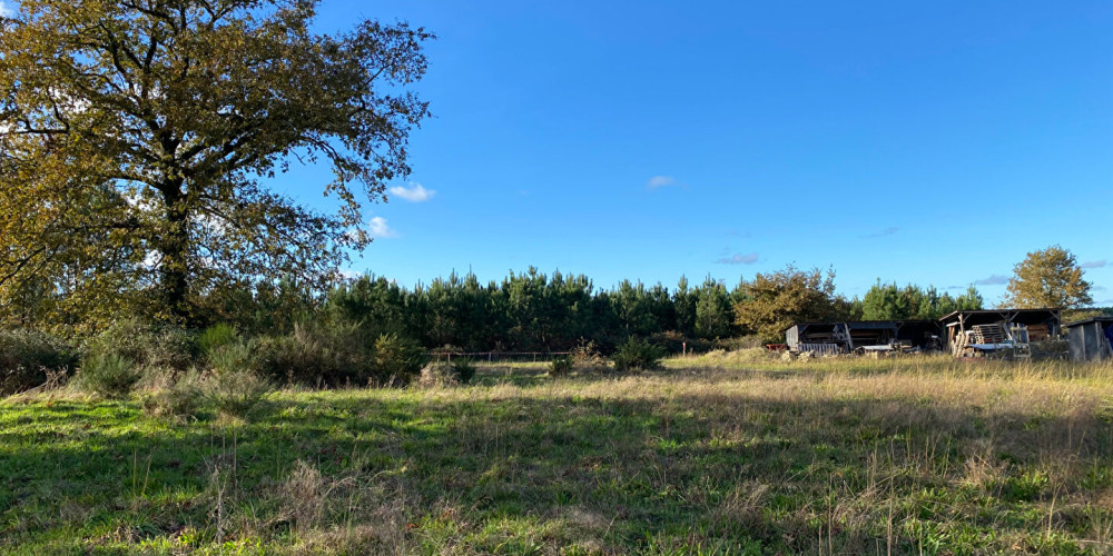 terrain à RION DES LANDES (40370)