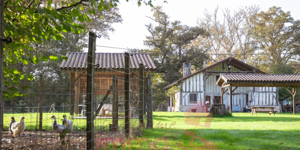 maison à BELIS (40120)