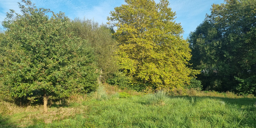 terrain à ST MARTIN DE HINX (40390)