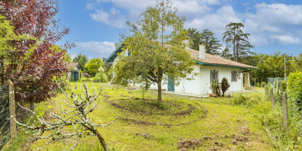 maison à ST MARTIN DE SEIGNANX (40390)