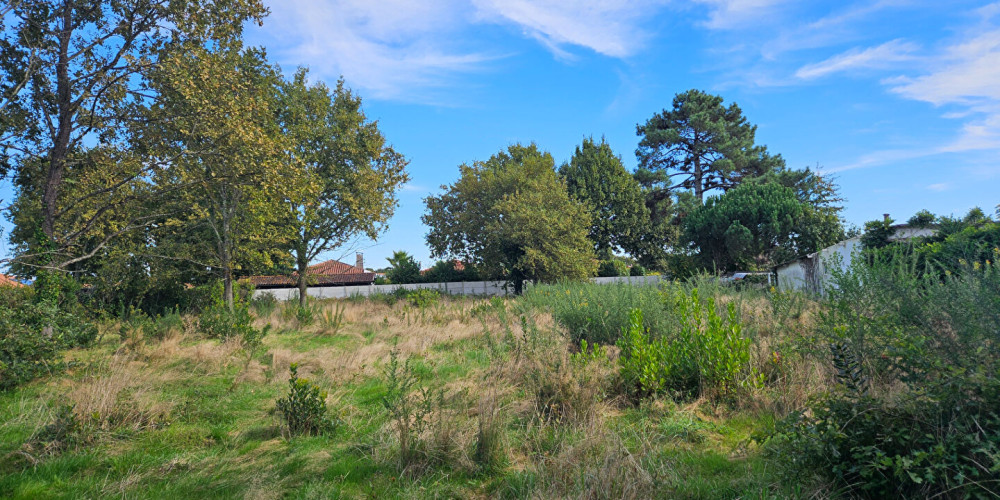 terrain à BISCARROSSE (40600)