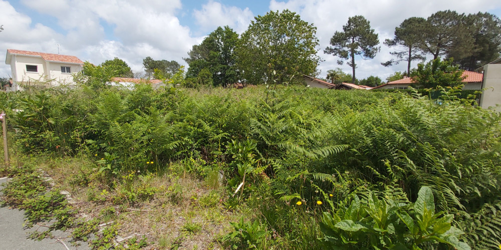 terrain à VIELLE ST GIRONS (40560)