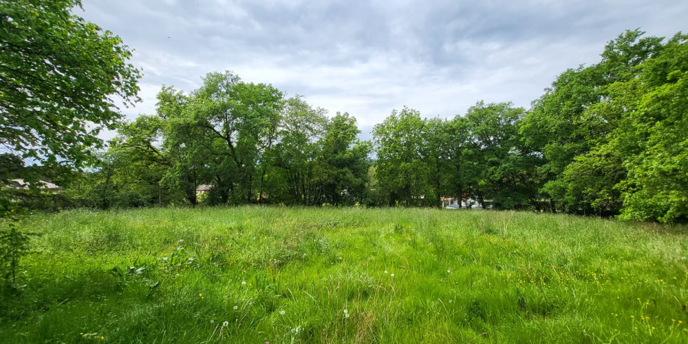 terrain à AUDIGNON (40500)