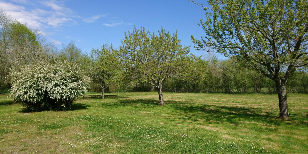 maison à BELUS (40300)