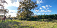 terrain à RION DES LANDES (40370)