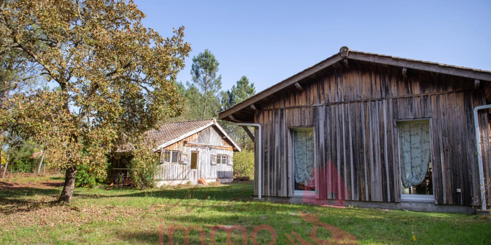 maison à LABRIT (40420)