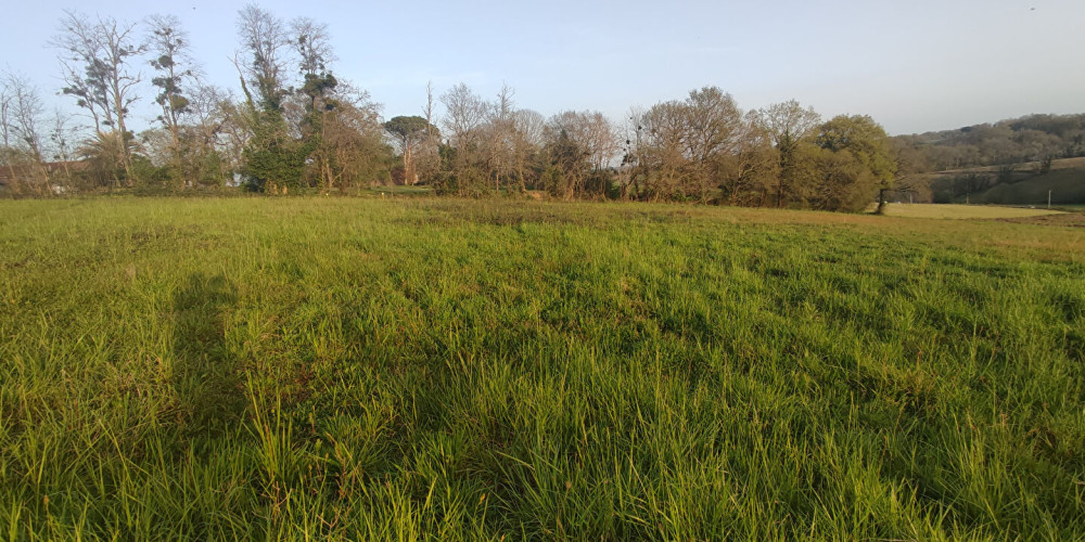 terrain à ST SEVER (40500)