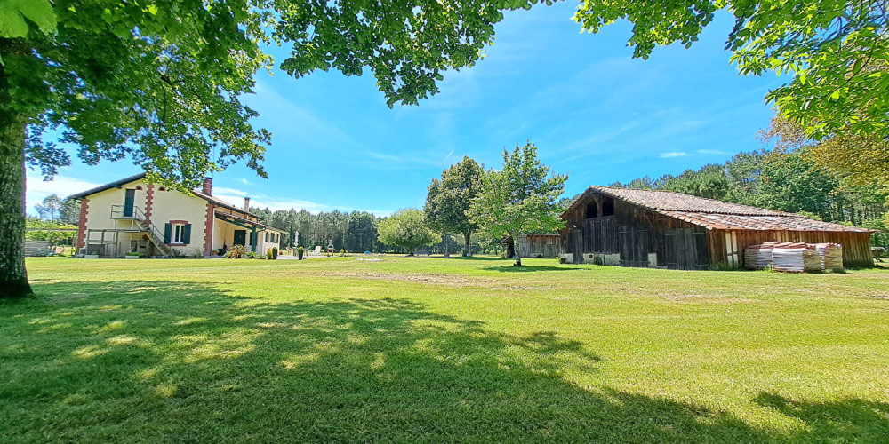 maison à LEON (40550)